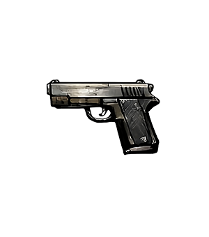 Pistol
